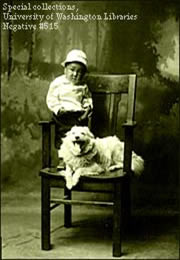 Asian American child and dog